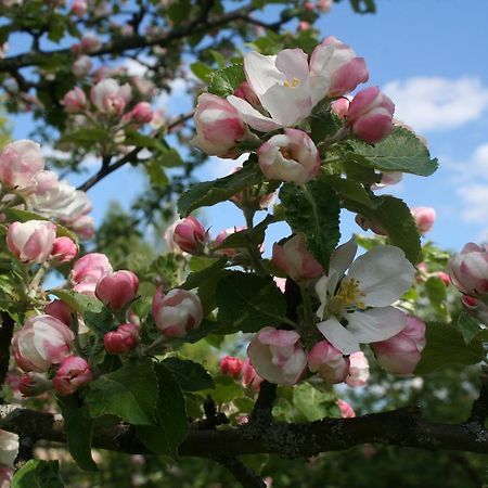 Gaestrum Gnottnehult Osterbymo エクステリア 写真