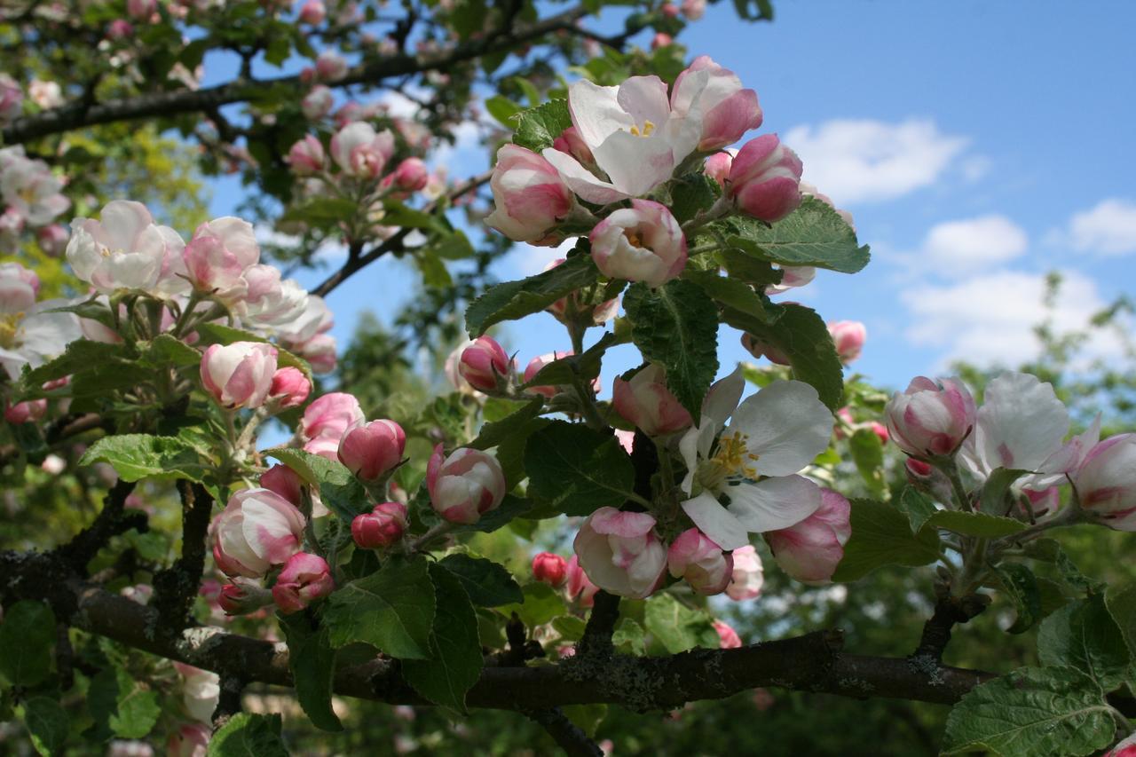 Gaestrum Gnottnehult Osterbymo エクステリア 写真