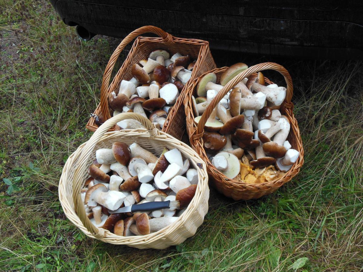 Gaestrum Gnottnehult Osterbymo エクステリア 写真